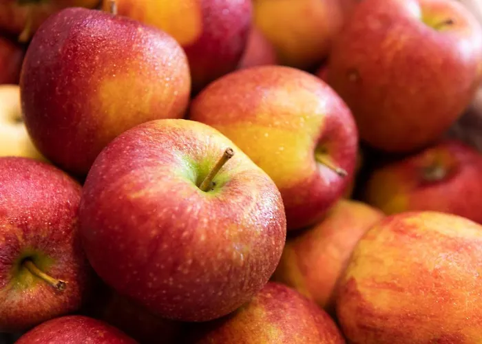 Brunnenhof Нойштифт-им-Штубайталь