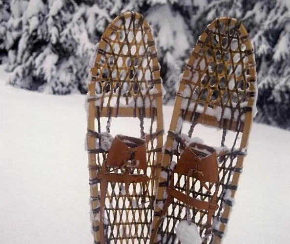 Отель Brunnenhof 3*