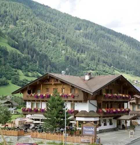 Brunnenhof 3* Нойштифт-им-Штубайталь