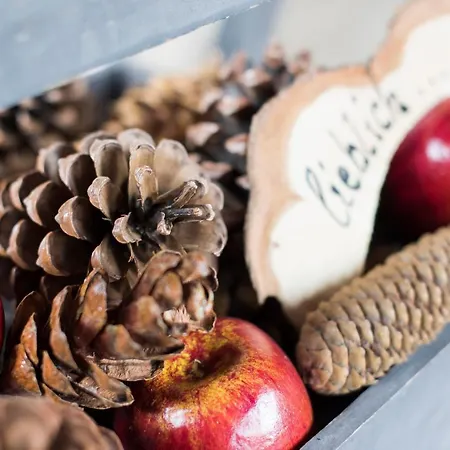 ホテル Brunnenhof