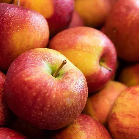 Brunnenhof ノイシュティフト・イム・シュトゥーバイタール