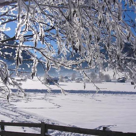 Brunnenhof ノイシュティフト・イム・シュトゥーバイタール