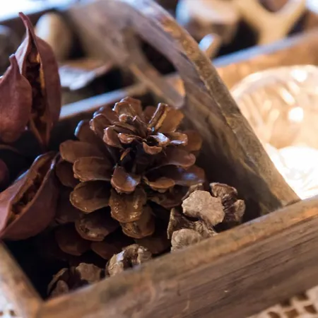 ホテル Brunnenhof