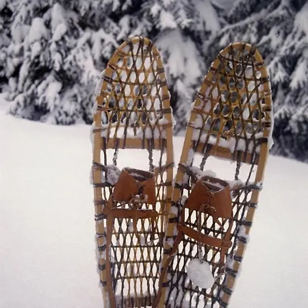 ホテル Brunnenhof 3*